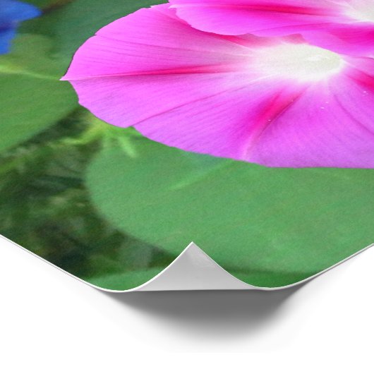 HET GEHEUGEN VAN DE MORNINGSPLAATS POSTER (Hoek)