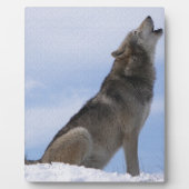 Het Gehuil van de wolf Fotoplaat (Voorkant)