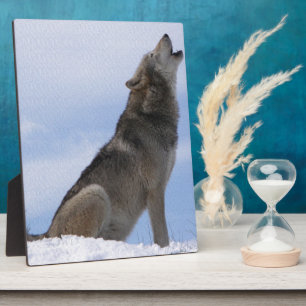 Het Gehuil van de wolf Fotoplaat