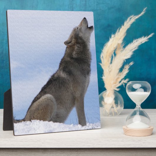 Het Gehuil van de wolf Fotoplaat (Zijkant)