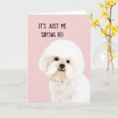 Het Geïllustreerde Wenskaart van Bichon Frise Kaart (Gele Bloem)