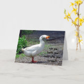 Het gekke Wenskaart van de Verjaardag van de Gans Kaart (Gele Bloem)