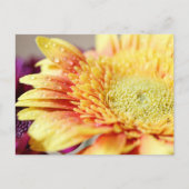 Het gele Bloem en Briefkaart van Druppeltjes (Voorkant)