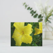 Het gele Briefkaart van de Hibiscus (Staand voorkant)
