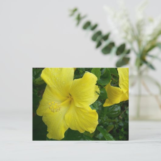 Het gele Briefkaart van de Hibiscus (Staand voorkant)