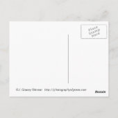 Het gele Briefkaart van het Vliegtuig van de (Achterkant)