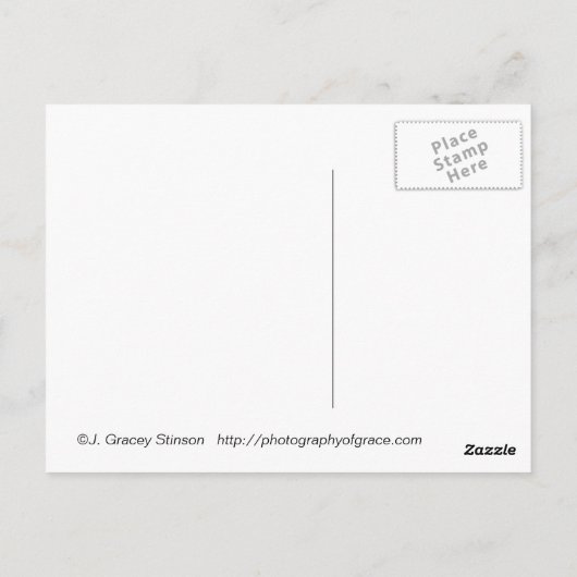 Het gele Briefkaart van het Vliegtuig van de (Achterkant)