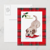 Het gele Geruite Schotse wollen stof van het Pet Feestdagenkaart (Voorkant / Achterkant)