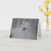 Het gele Ontspannen van het Laboratorium in de Kaart (Gele Bloem)