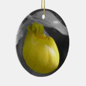 Het gele Ornament van Dame Slipper BW Bloem (Rechts)