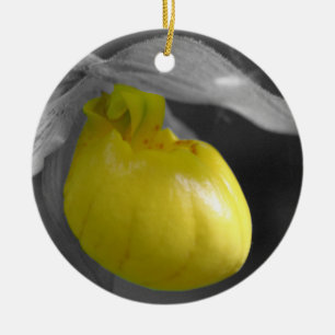 Het gele Ornament van Dame Slipper BW Bloem
