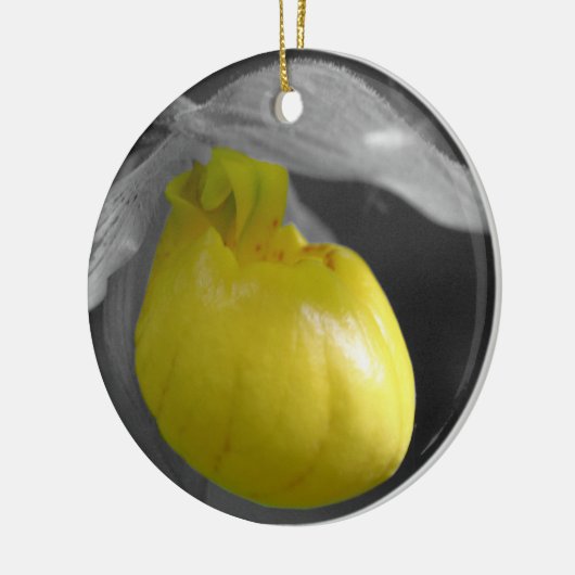 Het gele Ornament van Dame Slipper BW Bloem (Links)