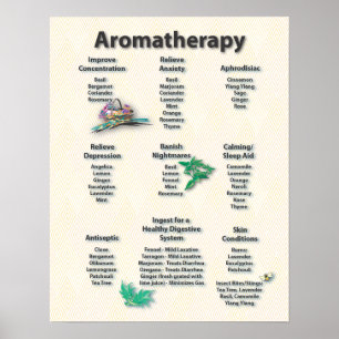 Het gele Poster van de Grafiek van Aromatherapy