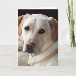 Het gele Wenskaart van de Labrador Kaart
