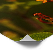 Het geloof is... Inspirerend Manuscript Poster (Hoek)