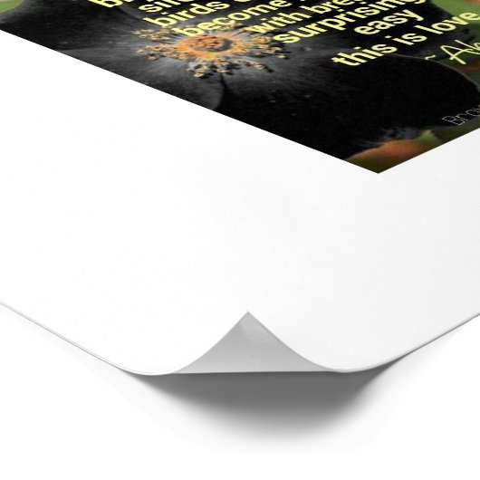 Het geluid van Ahsek Novel voor de ochtend Poster (Hoek)