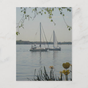 Het Geluid van Long Island Briefkaart