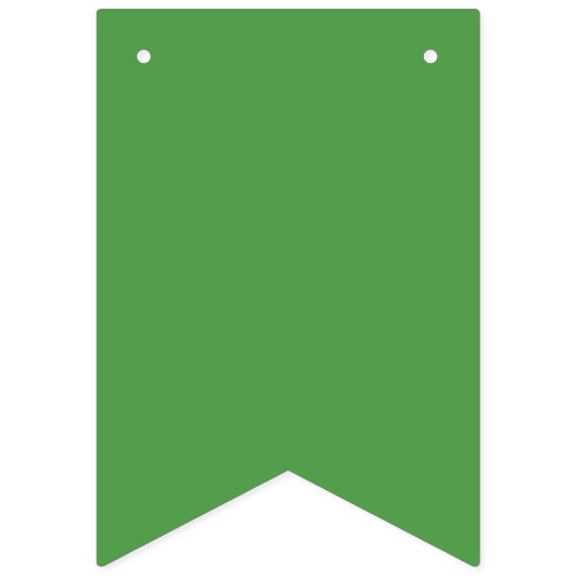 Het geluk van St. Patrick Vlaggetjes (Tweede vlag)