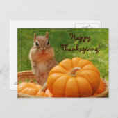 Het gelukkige Briefkaart van de Aardeekhoorn van (Voorkant / Achterkant)