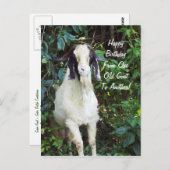 Het gelukkige Briefkaart van de Verjaardag (Voorkant / Achterkant)