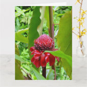 Het gelukkige briefkaart van de Verjaardag van (Gele Bloem)