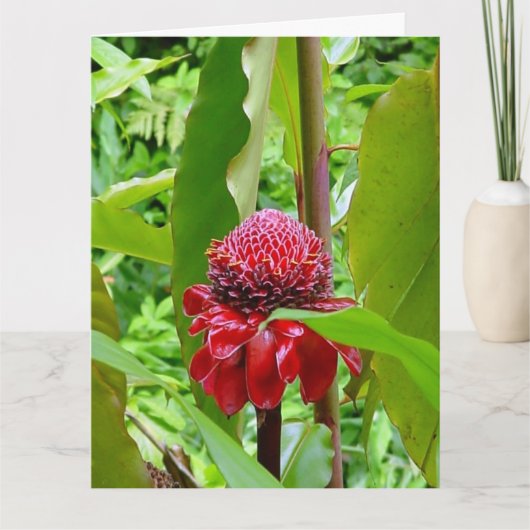 Het gelukkige briefkaart van de Verjaardag van (Voorkant)