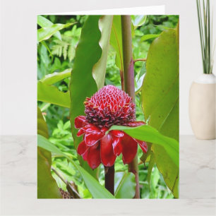 Het gelukkige briefkaart van de Verjaardag van