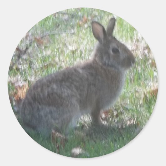 Het gelukkige konijn ronde sticker (Voorkant)