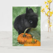 Het gelukkige Konijntje van Halloween Kaart (Gele Bloem)