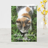 Het gelukkige Late Wenskaart van de Kat van het Kaart (Gele Bloem)