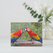Het Gelukkige Paar Scharlaken Mackaws van Briefkaart (Staand voorkant)
