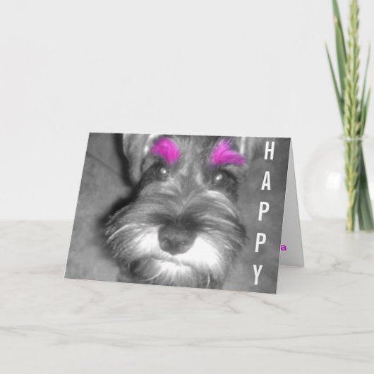 Het gelukkige Puppy Schnauzer van de Kerel van de Kaart (Voorkant)