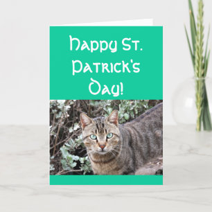 Het gelukkige St. Patricks wenskaart van de dagkat Kaart