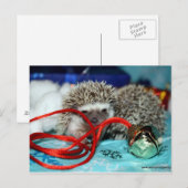 Het gelukkige Vakantie van de Egel Feestdagenkaart (Voorkant / Achterkant)