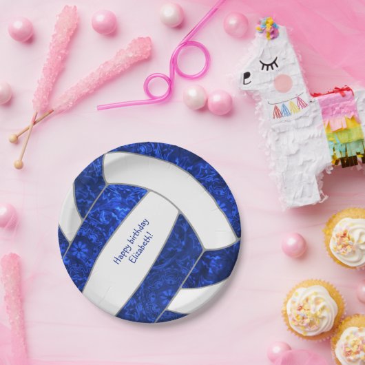 het gelukkige verjaardagsfeest blauw witvolleyball papieren bordje (Feest)