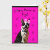 Het gelukkige wenskaart van Boston Terrier van het Kaart (Gele Bloem)
