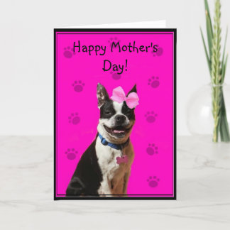 Het gelukkige wenskaart van Boston Terrier van het Kaart
