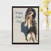 Het gelukkige Wenskaart van Chihuahua van het Kaart (Gele Bloem)