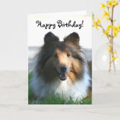 Het gelukkige wenskaart van de Herdershond van Kaart (Gele Bloem)