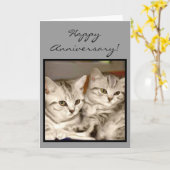 Het gelukkige wenskaart van de Katjes van de Kaart (Gele Bloem)