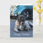 Het gelukkige Wenskaart van de Mastiff van de Kaart (Gele Bloem)