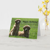 Het gelukkige wenskaart van de Retrievers van de Kaart (Gele Bloem)