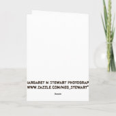 Het gelukkige Wenskaart van het Honkbal van Kaart (Achterkant)