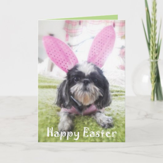 Het gelukkige Wenskaart van het Konijntje van Feestdagen Kaart (Voorkant)