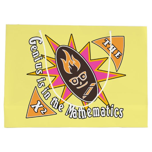 Het genie zit in de wiskunde groot cadeauzakje (Achterkant)