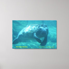 Het Gentle Manatee Canvas Afdruk
