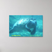 Het Gentle Manatee Canvas Afdruk (Voorkant)