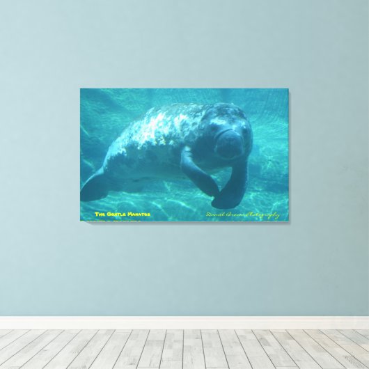 Het Gentle Manatee Canvas Afdruk (Insitu (Houten vloer))