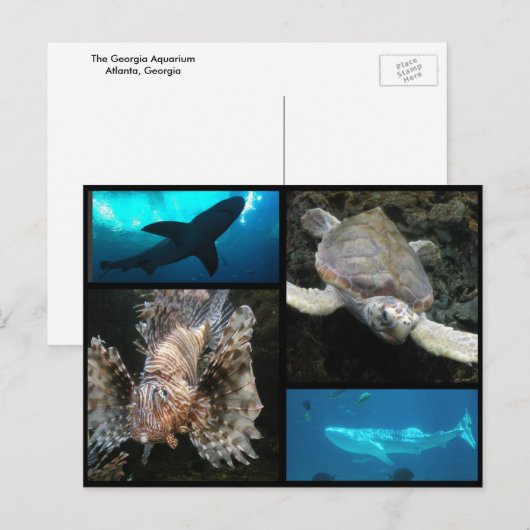 Het Georgia Aquarium Collage Briefkaart (Voorkant / Achterkant)