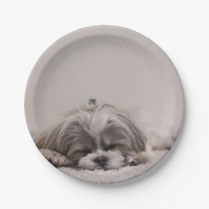 Het Gepersonaliseerde Bord van tzu Shih, SlaapHond